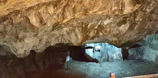 Sakarya'dan gittiği Eshab-ı Kehf Mağarasında sıkışan kişiyi itfaiye ekibi kurtardı