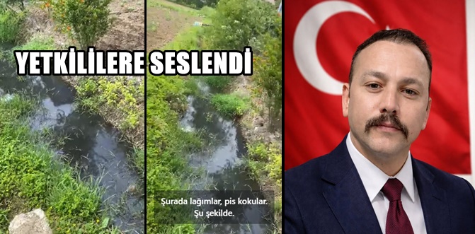 Yıldırım Darıçayırı'ndaki koku, sinek ve haşere şikâyetlerini gündeme getirdi