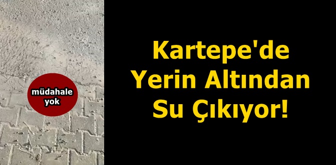 Kartepe'de Yerin Altından Su Çıkıyor!