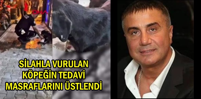 Sedat Peker hayvanseverlerin takdirini topladı