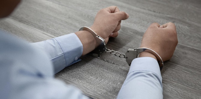 Sakarya'ya uzanan üreme hücresi ticareti operasyonunda gözaltı sayısı 44'e çıktı