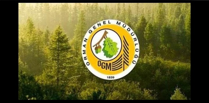 Orman Genel Müdürlüğü Sakarya'da işçi alacak