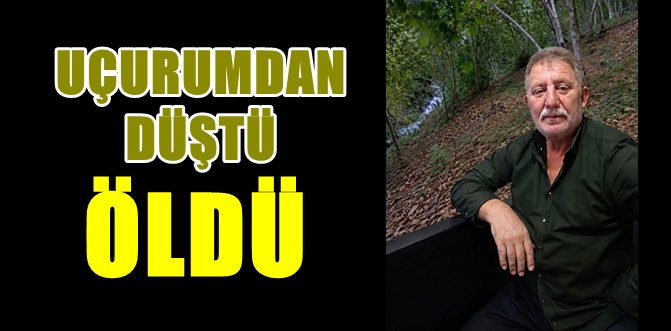 Fındık bahçesinde temizlik yapıyordu...