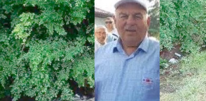 Direksiyon hakimiyetini kaybeden sürücü şarampole uçtu!