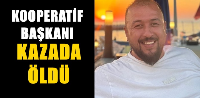 Menfeze düşen aracın içindeydi...