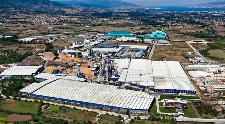 Odun ihalelerinde rekabet cezası