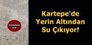 Kartepe'de Yerin Altından Su Çıkıyor!